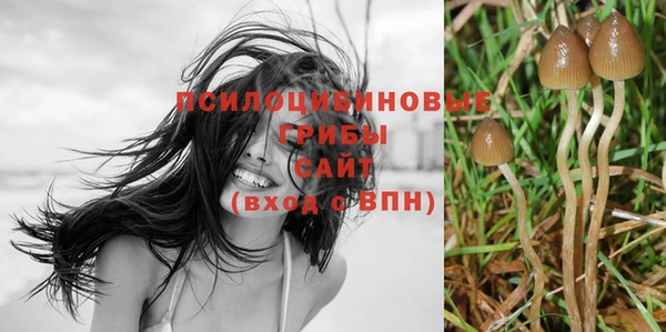 mix Няндома