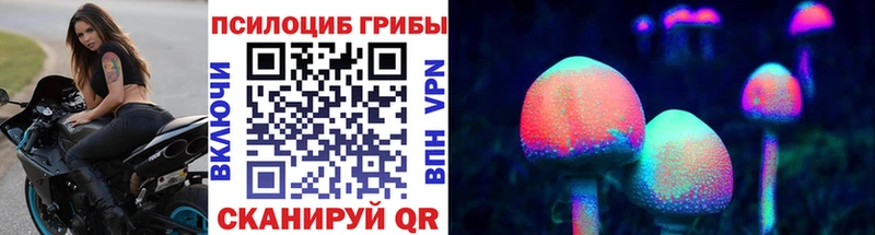Псилоцибиновые грибы мицелий  Купить закладки  Спас-Деменск 